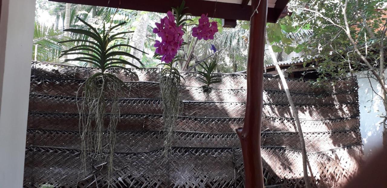 Yaluwa Tourist Rest & Cooking Class Anuradhapura Ngoại thất bức ảnh