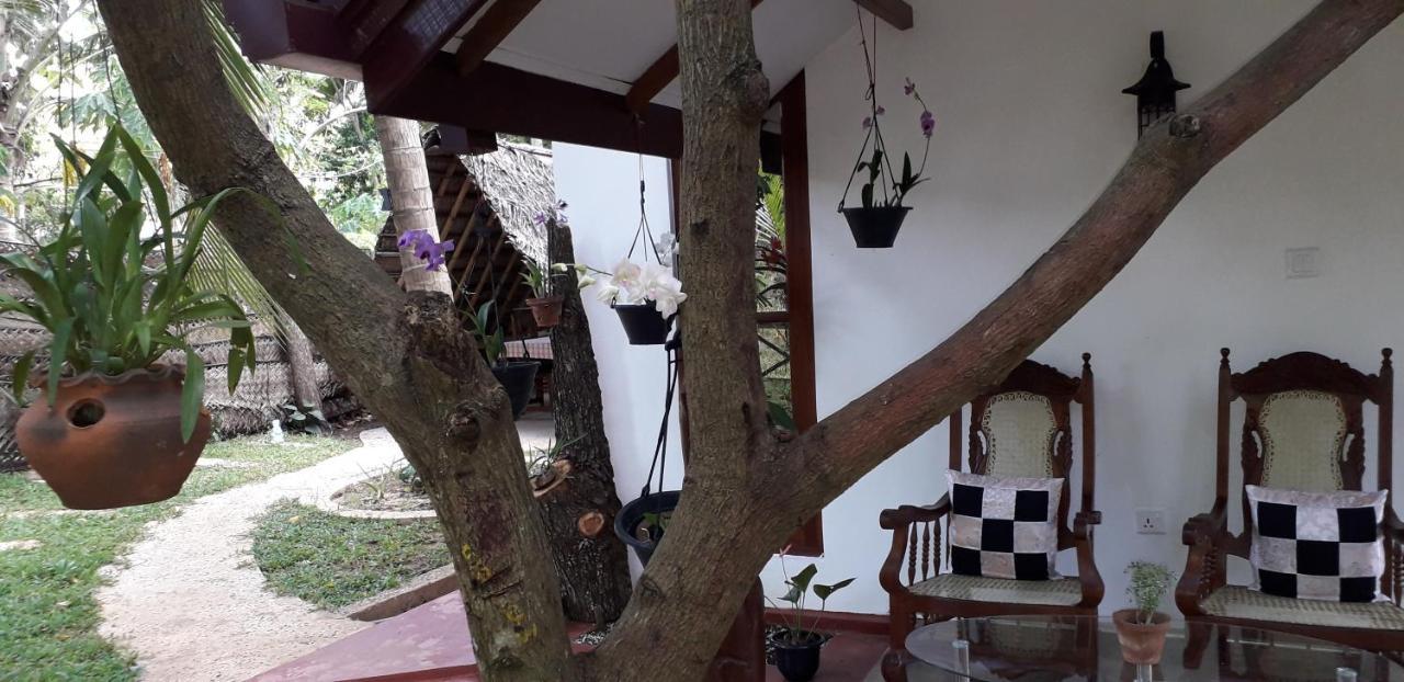 Yaluwa Tourist Rest & Cooking Class Anuradhapura Ngoại thất bức ảnh