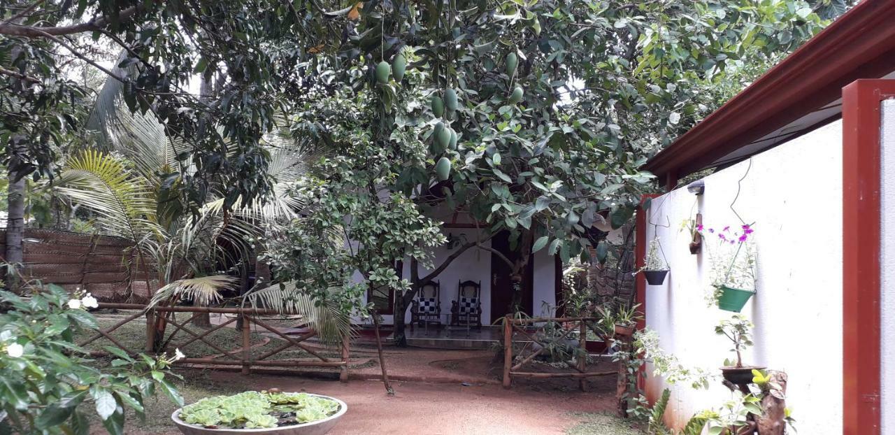 Yaluwa Tourist Rest & Cooking Class Anuradhapura Ngoại thất bức ảnh